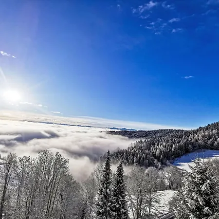 Appartement Urban & Florian-3 By Interhome Zirkitz