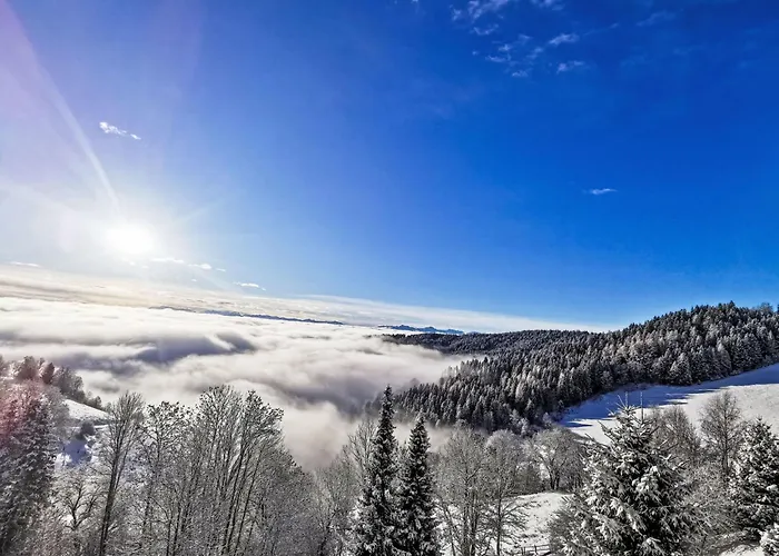 Appartement Urban & Florian-3 By Interhome Zirkitz